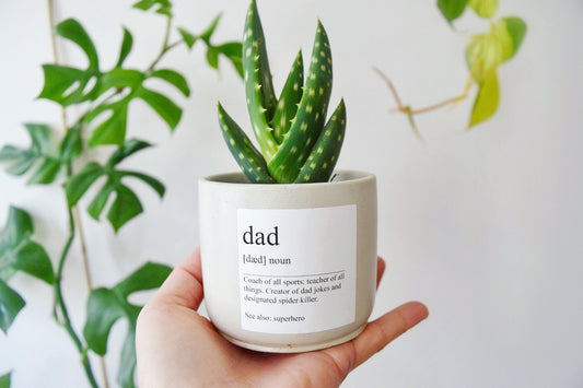 'Dad' Definition Planter